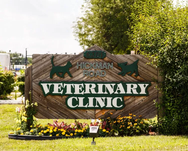 Hickman Road Veterinary Clinic, Iowa, Des Moines